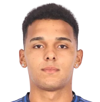 Victor Balduino Ribeiro logo