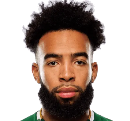 Eryk Williamson logo