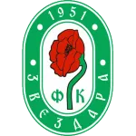 FK Zvezdara logo