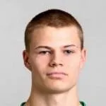 David Ingvarsson logo