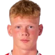 Birnir burknason logo