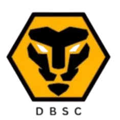 Dwivedi Brothers logo