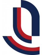 Chongqing Liangjiang Athletic(1994-2022) logo