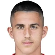 Daniel Stjepanovic logo