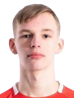 Aleksandr Nikolajev logo