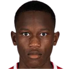 Neraysho Kasanwirjo logo