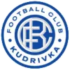 Kudrivka Nyva U21 logo