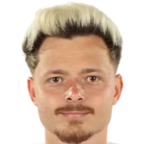 Marian Liviu Draghiceanu photo 