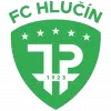 Hlucin logo