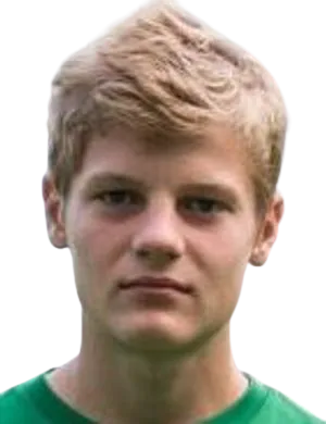 Aleksander Iljin logo