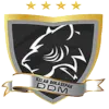 DDM FC logo