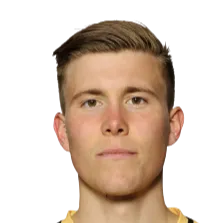 Alfons Sampsted photo 