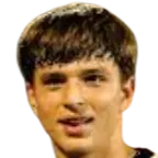 Dimitrije Janković logo