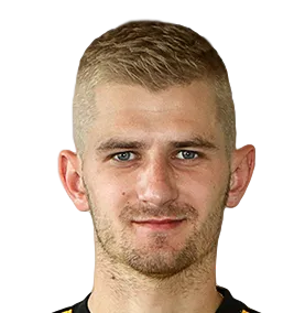 Denys Miroshnichenko logo