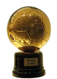 Winner Ballon d'Or logo