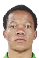 Sphelele Mkhulise logo