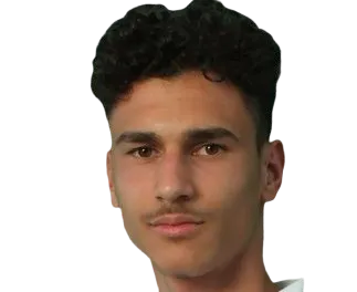 Demin Skenderovic photo 