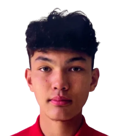 Nasirulla Hesenjan logo