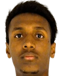 merhawi birhane logo