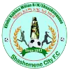 Shashemene Ketema logo