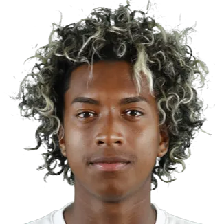 Leonardo Realpe logo