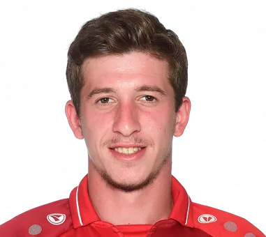 Davit Samurkasovi logo