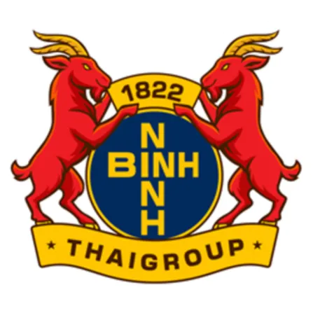 Ninh Binh FC logo