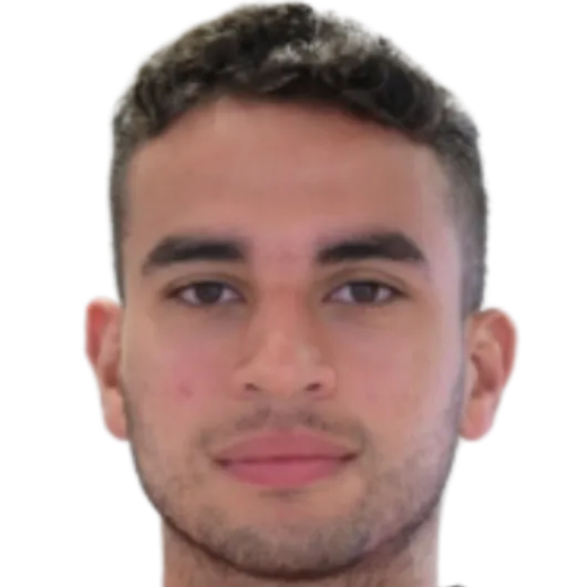 Mohamed Hamdi Ibrahim logo