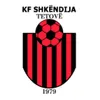 Shkendija U19 logo
