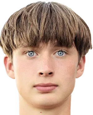 vladislav dobishchuk logo