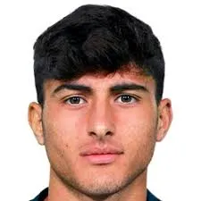 Denis·Portanova logo