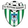 Horni Briza logo