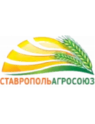 Nevinnomyssk logo