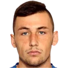 Nikola Ignjatovic logo