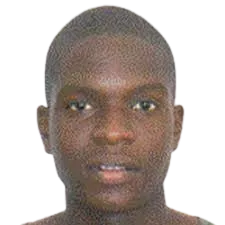 Nkanyiso Shinga logo