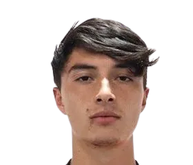 diego acevedo velazquez logo