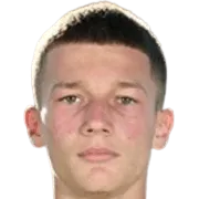 Stefan Džodić logo