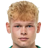 Jakob Vester Nielsen logo