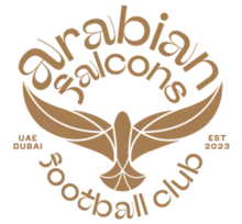 Arabian Falcons FC logo