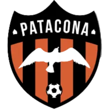 Patacona logo