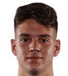 Aleksa·Jankovic logo