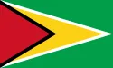 Guyana Women U17 logo