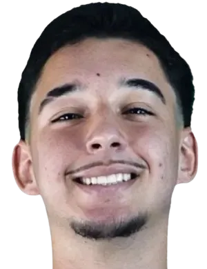 Nicolas Tedesco Borba logo