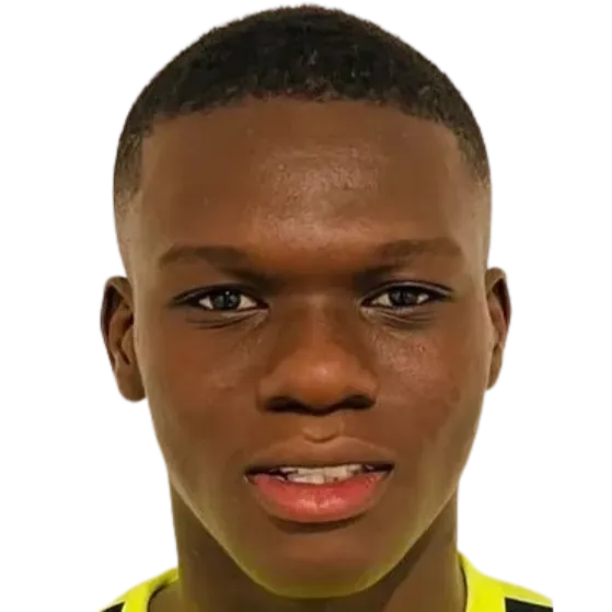 Jonathan Gyanny Fonkel logo