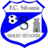 CS Sportul Simleu Silvaniei logo