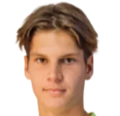 daniel svintsov logo