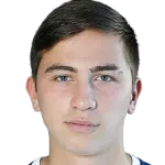 bahadur sokolov logo