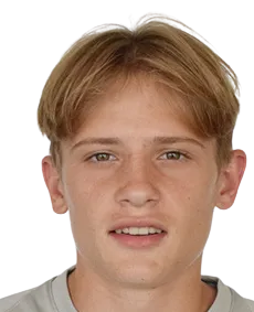 Dmytro Chernysh logo