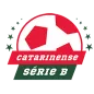 Brazilian Catarinense Division 2 photo 