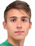 Pavel Pavlyuchenko logo